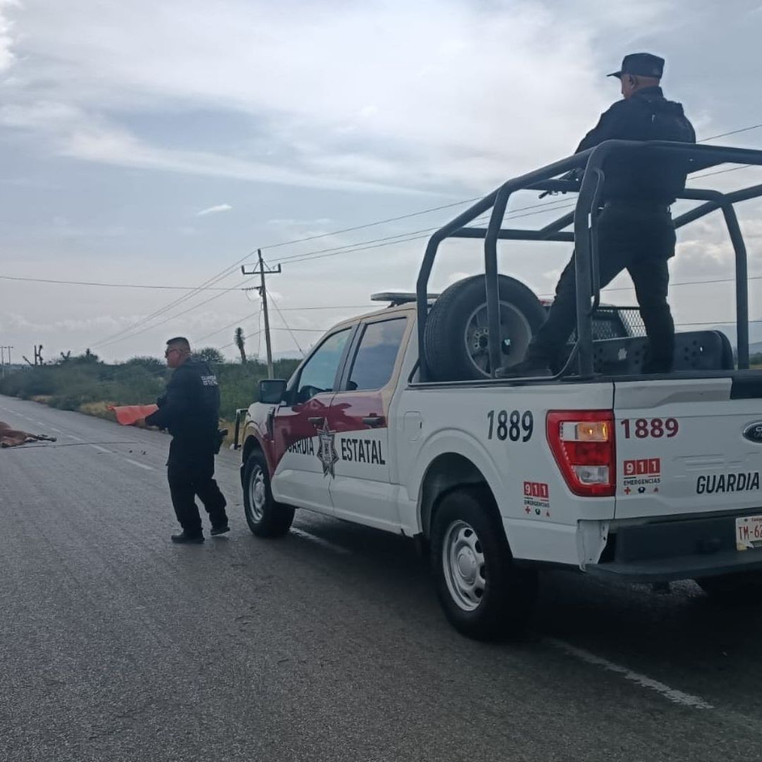Caballo Muere tras Impactar Contra un Auto en Carretera Federal 101
